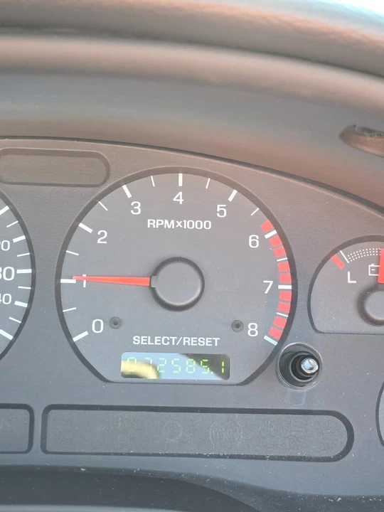 2004 Ford SN95 Mustang - Image 16 of 16