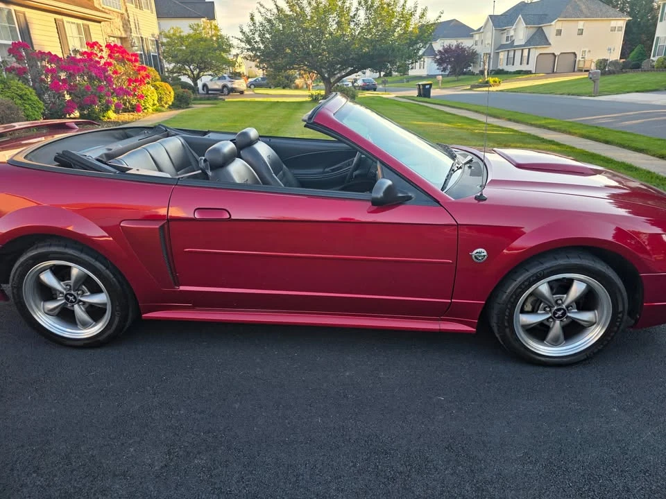 2004 Ford SN95 Mustang - Image 6 of 16