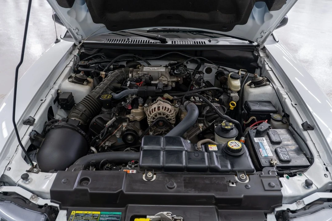 2004 Ford SN95 Mustang - Image 15 of 25