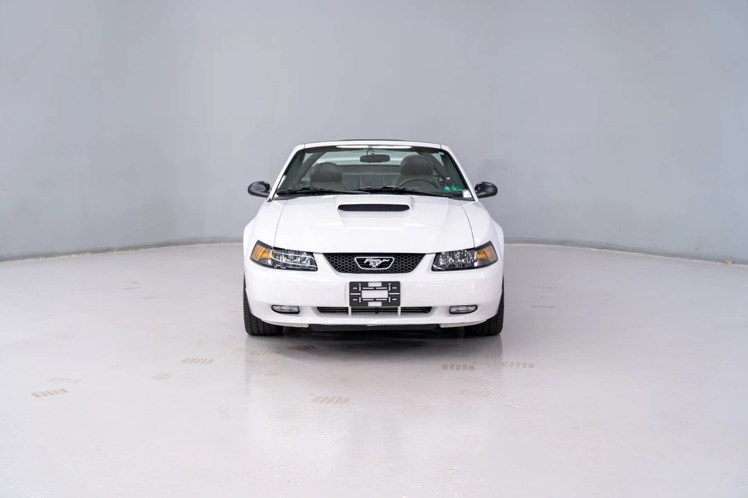 2004 Ford SN95 Mustang - Image 5 of 31