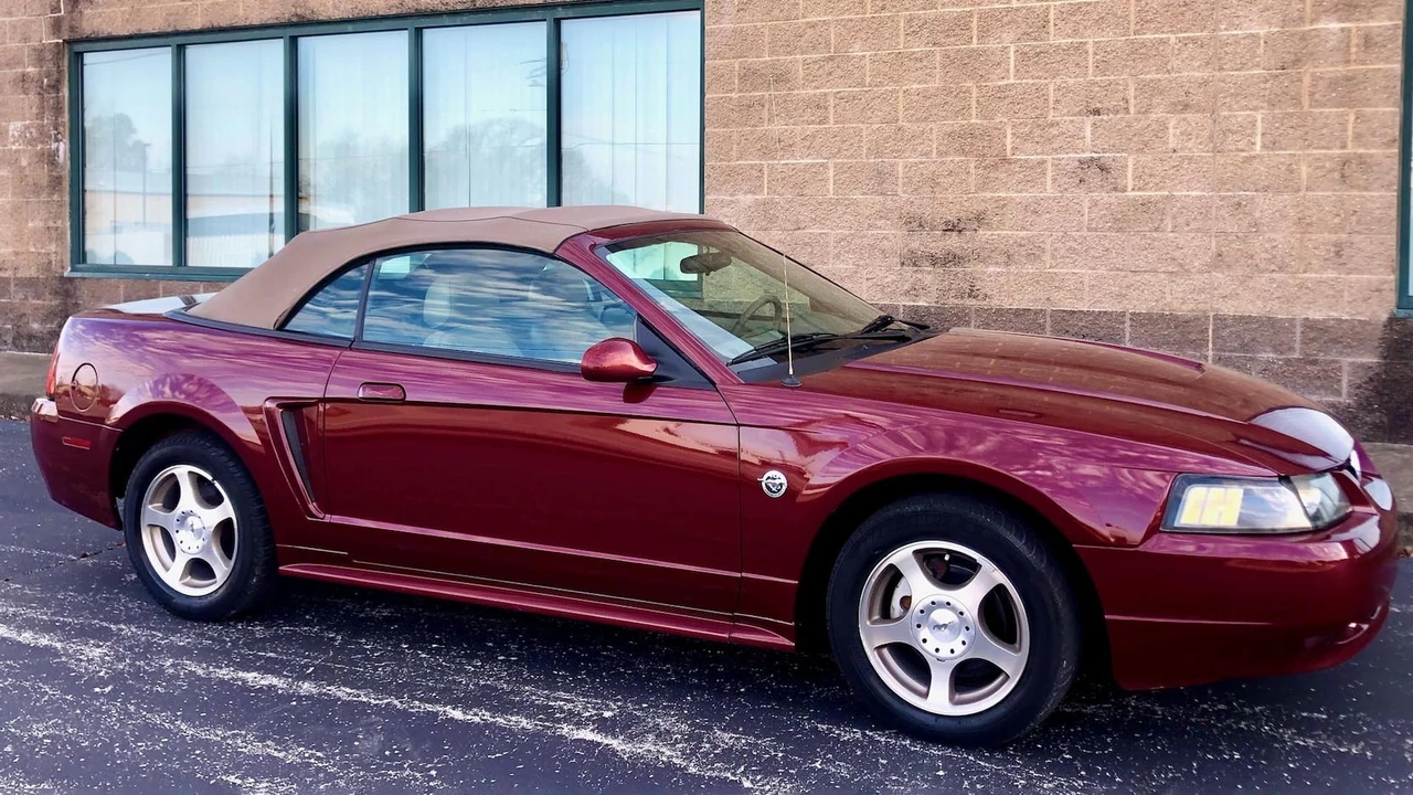 2004 Ford SN95 Mustang - Image 16 of 17