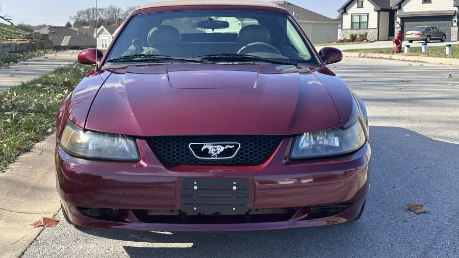2004 Ford SN95 Mustang - Image 8 of 23
