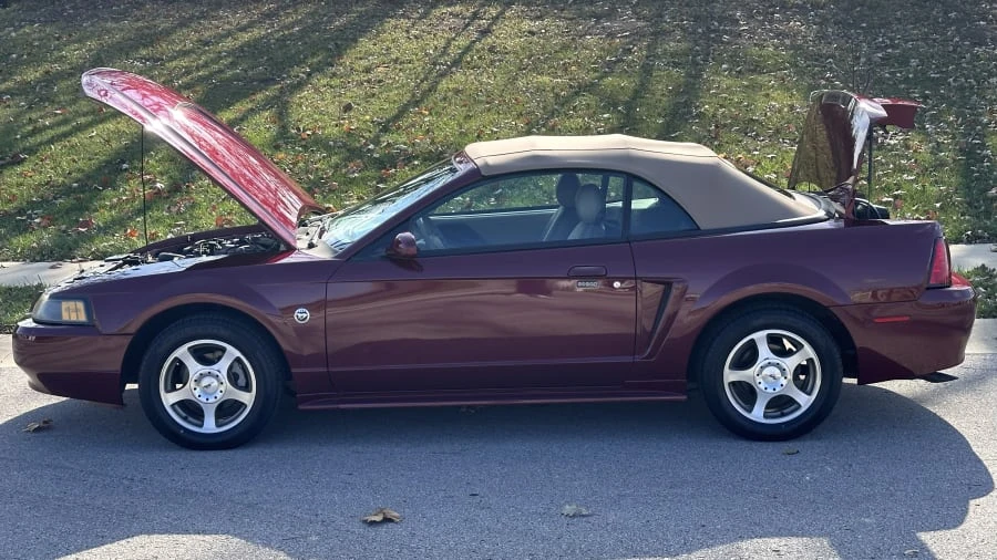 2004 Ford SN95 Mustang - Image 18 of 23