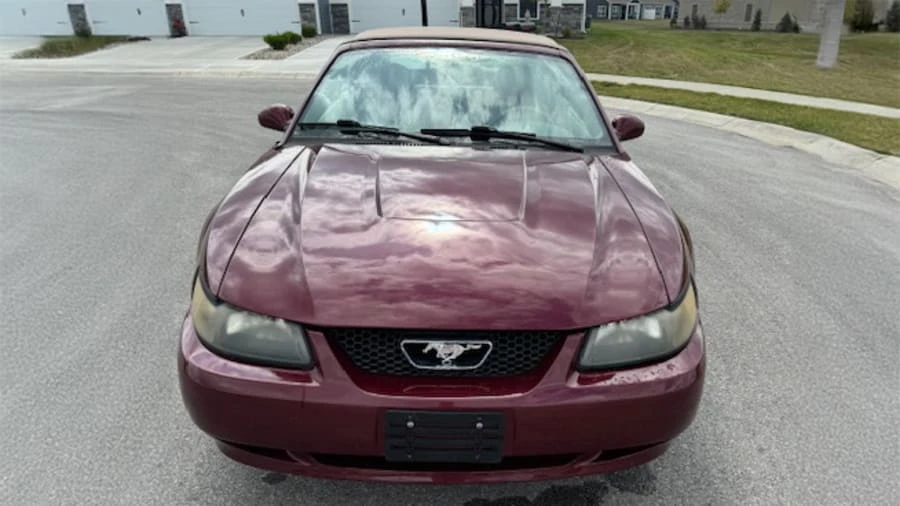 2004 Ford SN95 Mustang - Image 8 of 20
