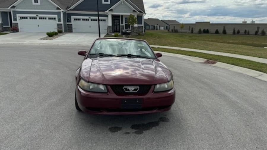 2004 Ford SN95 Mustang - Image 11 of 20