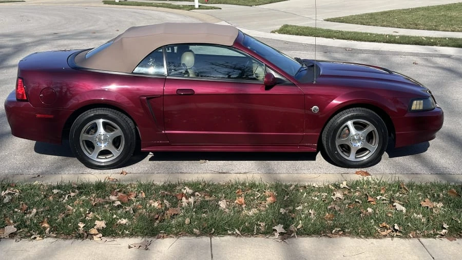 2004 Ford SN95 Mustang - Image 7 of 23