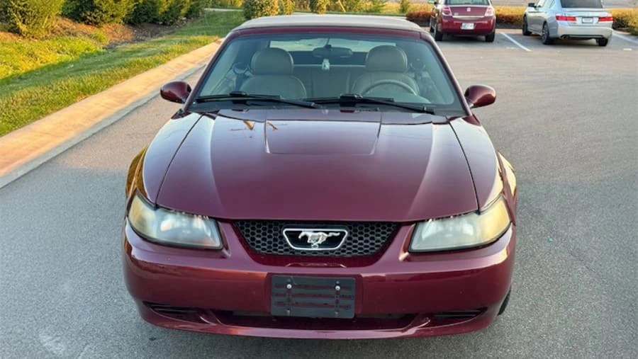 2004 Ford SN95 Mustang - Image 3 of 20