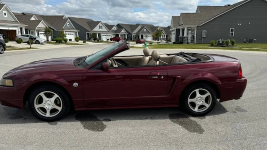 2004 Ford SN95 Mustang - Image 7 of 20