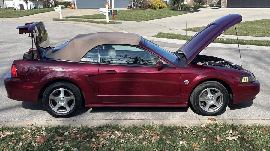 2004 Ford SN95 Mustang - Image 10 of 23