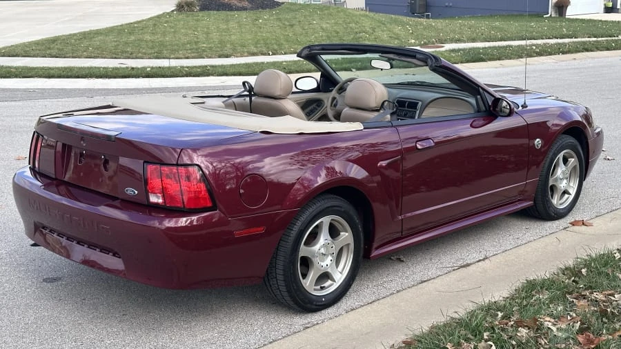 2004 Ford SN95 Mustang - Image 11 of 23