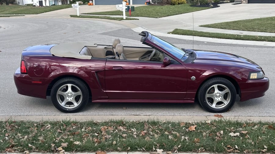 2004 Ford SN95 Mustang - Image 12 of 23