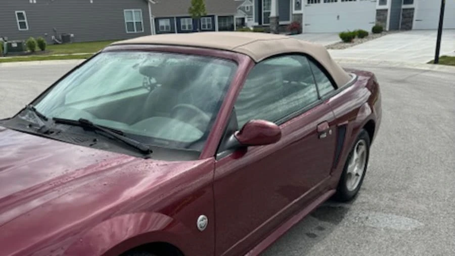 2004 Ford SN95 Mustang - Image 5 of 20