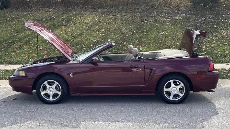 2004 Ford SN95 Mustang - Image 16 of 23