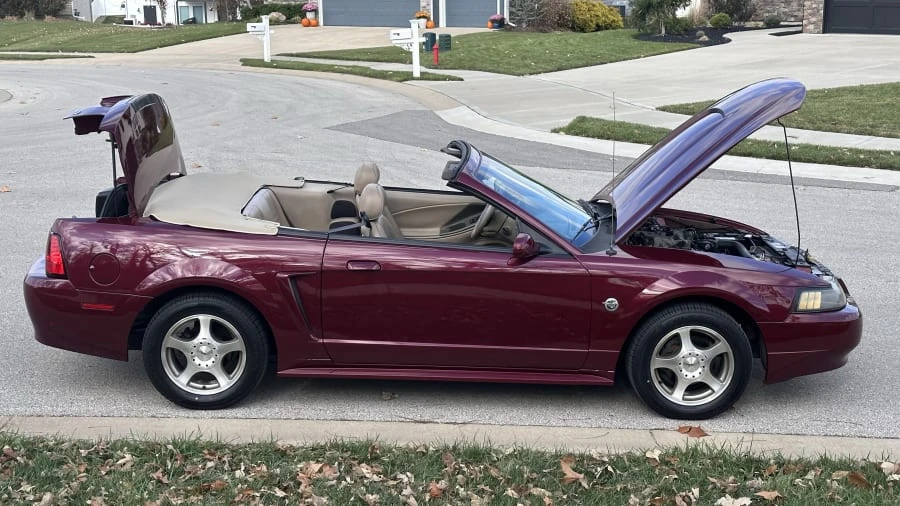 2004 Ford SN95 Mustang - Image 17 of 23
