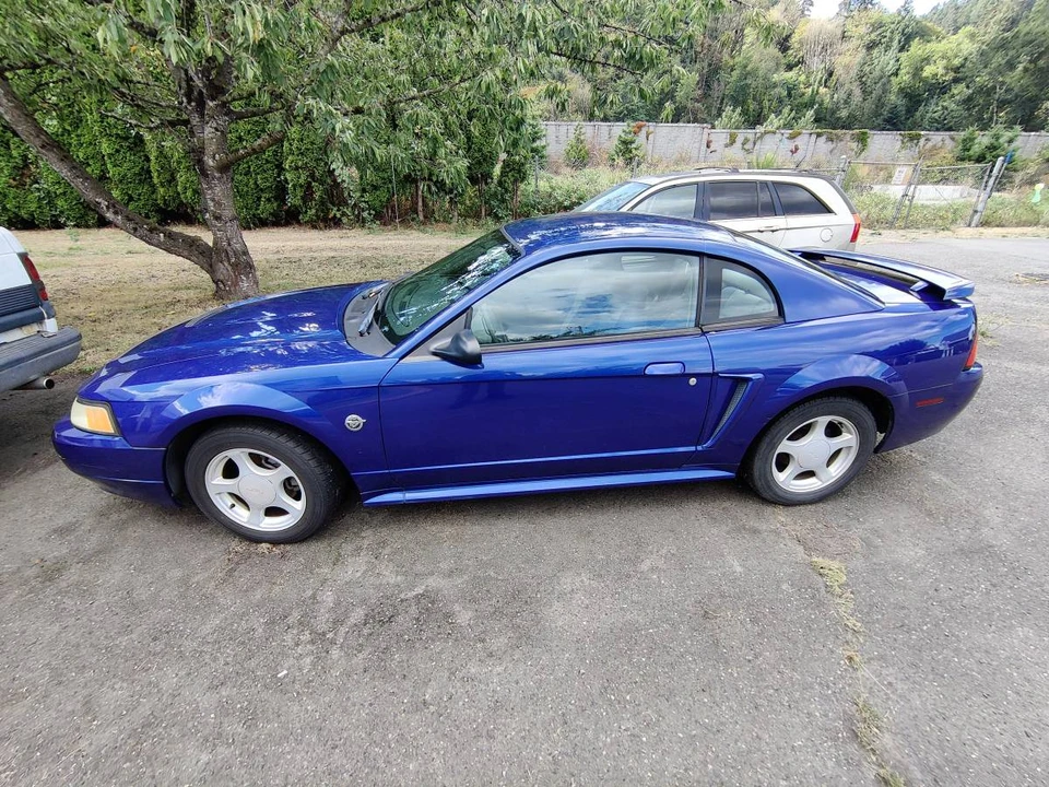 2004 Ford SN95 Mustang - Image 4 of 20