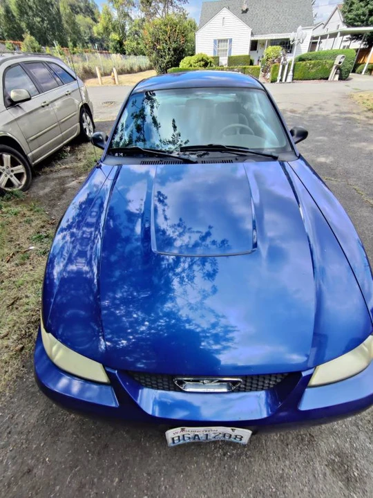 2004 Ford SN95 Mustang - Image 2 of 20
