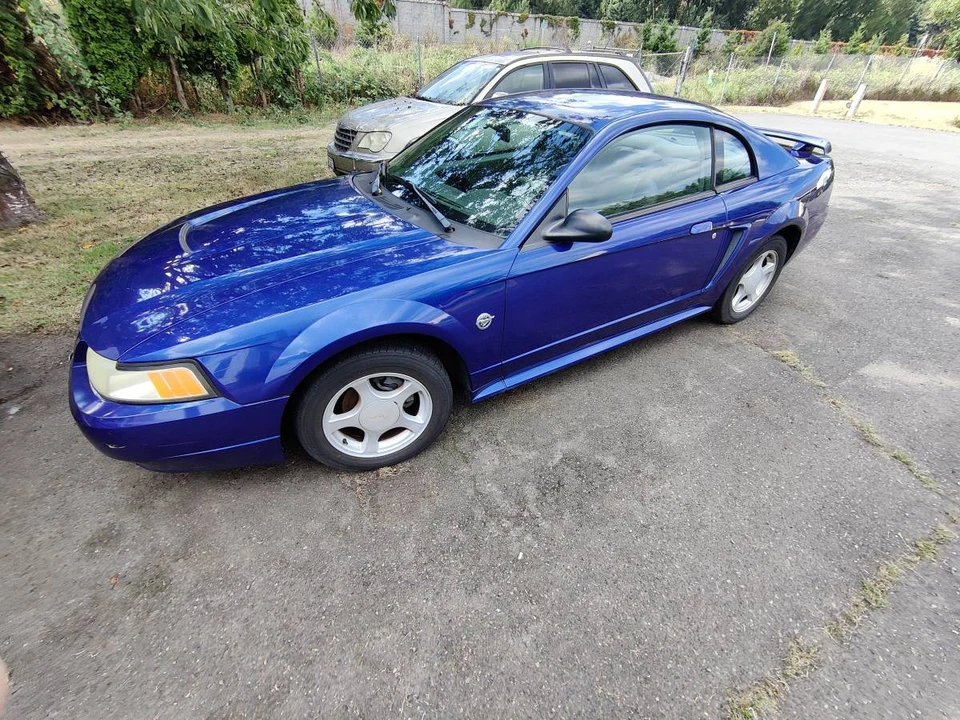 2004 Ford SN95 Mustang - Image 3 of 20