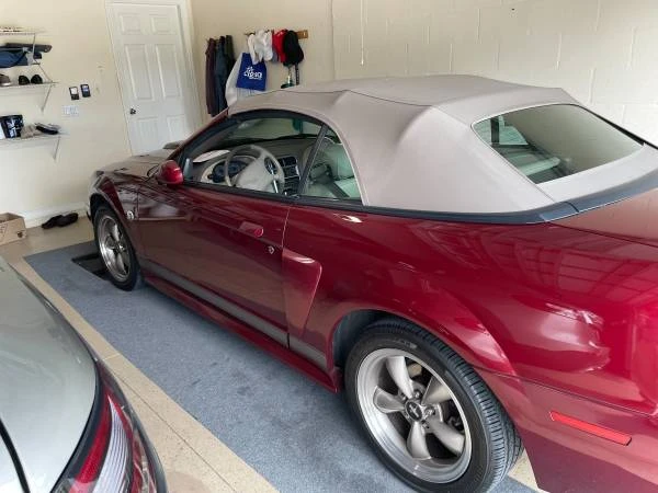 2004 Ford SN95 Mustang - Image 3 of 6