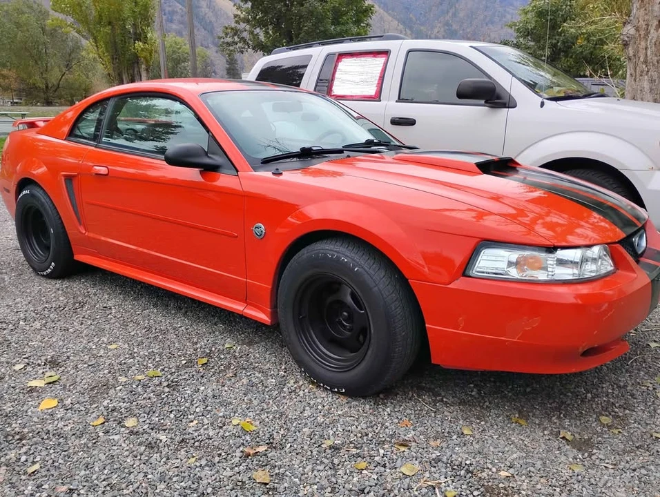 2004 Ford SN95 Mustang - Image 2 of 8
