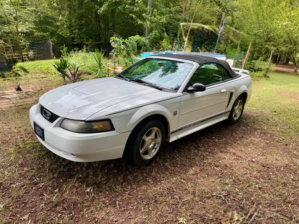 2004 Ford SN95 Mustang - Image 2 of 8