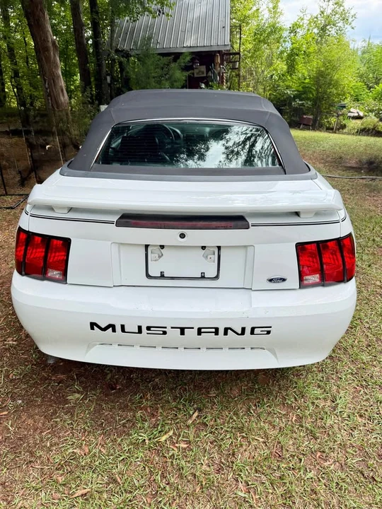 2004 Ford SN95 Mustang - Image 3 of 8