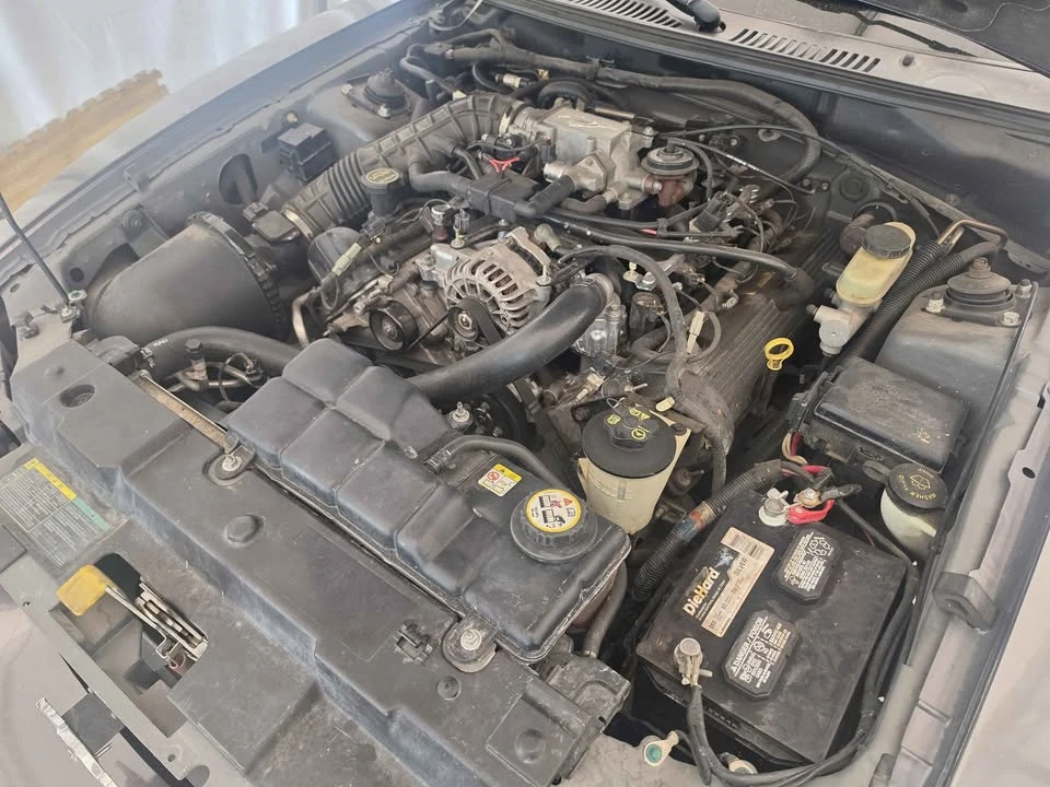 2004 Ford SN95 Mustang - Image 19 of 20