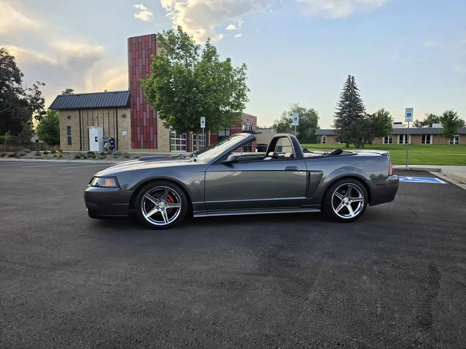2004 Ford SN95 Mustang - Image 4 of 20