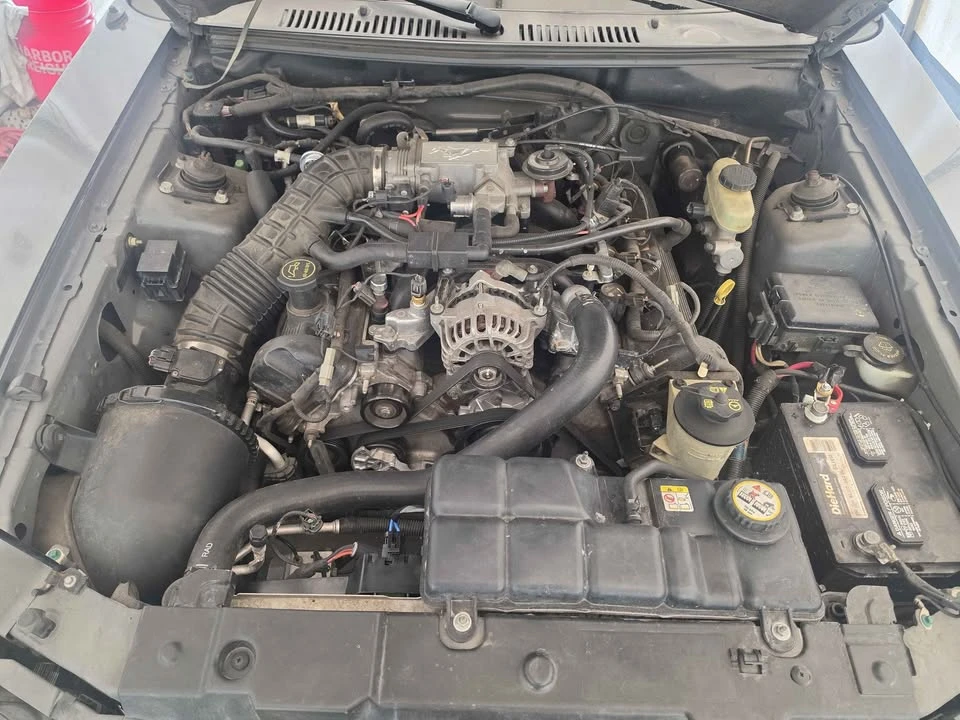 2004 Ford SN95 Mustang - Image 18 of 20