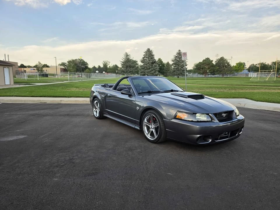 2004 Ford SN95 Mustang - Image 7 of 20