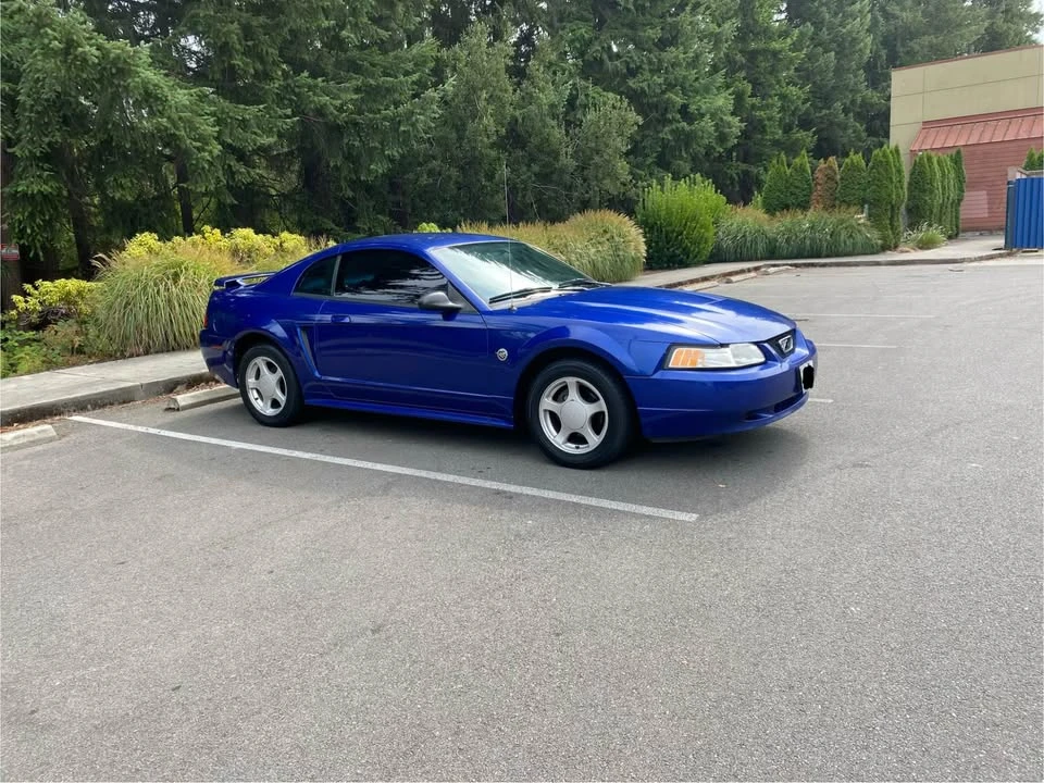 2004 Ford SN95 Mustang - Image 16 of 17