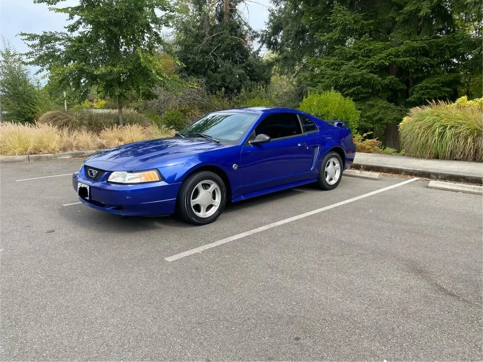 2004 Ford SN95 Mustang - Image 14 of 17