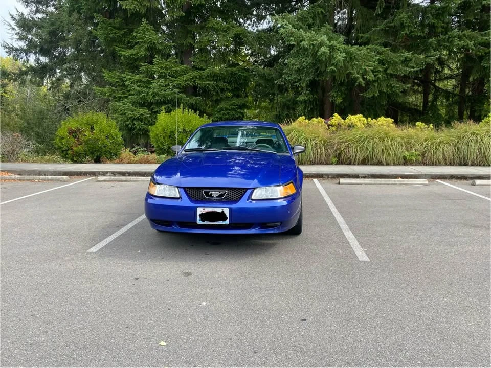 2004 Ford SN95 Mustang - Image 15 of 17