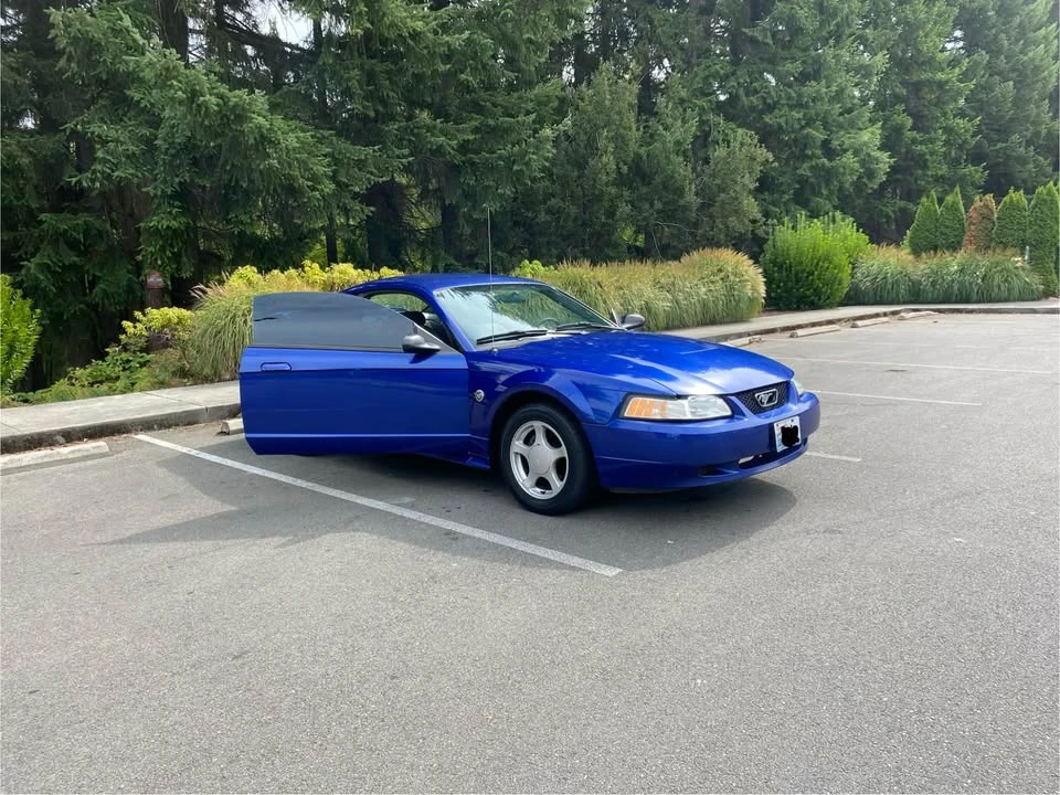 2004 Ford SN95 Mustang - Image 8 of 17