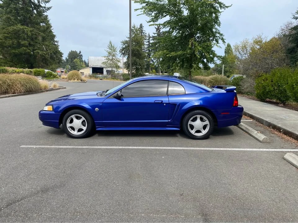 2004 Ford SN95 Mustang - Image 13 of 17