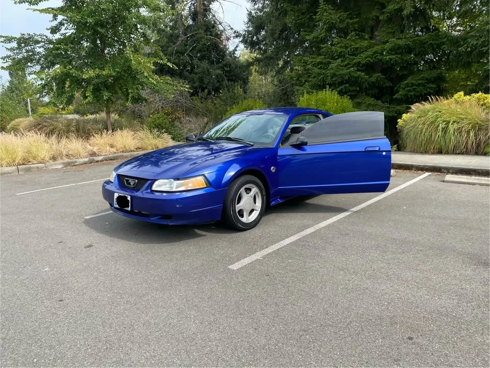 2004 Ford SN95 Mustang - Image 9 of 17