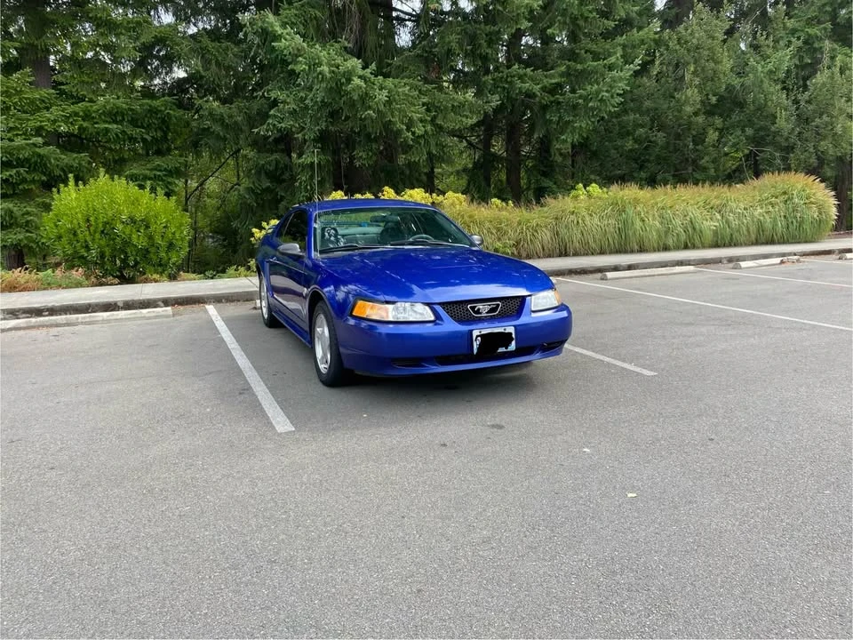 2004 Ford SN95 Mustang - Image 17 of 17