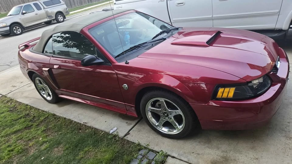 2004 Ford SN95 Mustang - Image 5 of 12