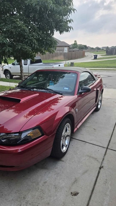 2004 Ford SN95 Mustang - Image 2 of 12