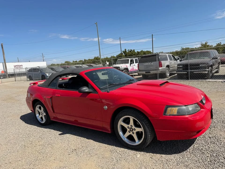 2004 Ford SN95 Mustang - Image 4 of 8