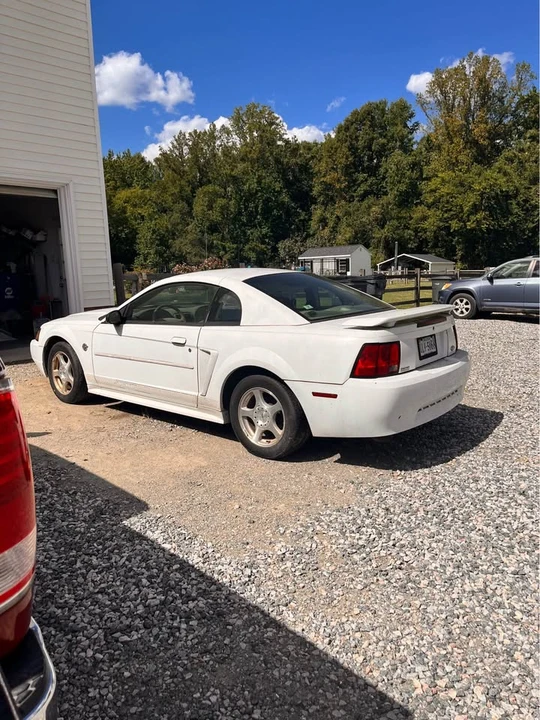 2004 Ford SN95 Mustang - Image 3 of 5