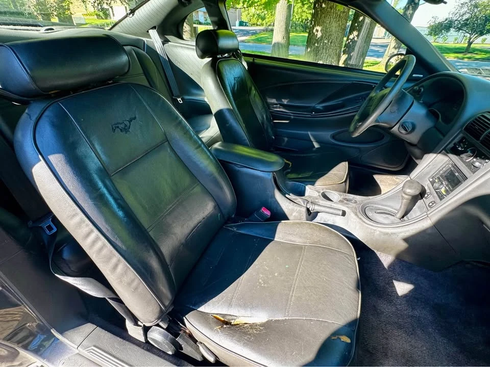 2004 Ford SN95 Mustang - Image 3 of 6
