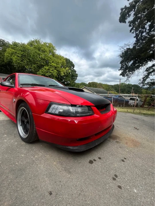2004 Ford SN95 Mustang - Image 2 of 8