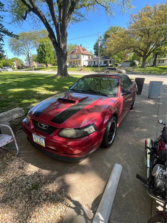 2004 Ford SN95 Mustang - Image 2 of 9