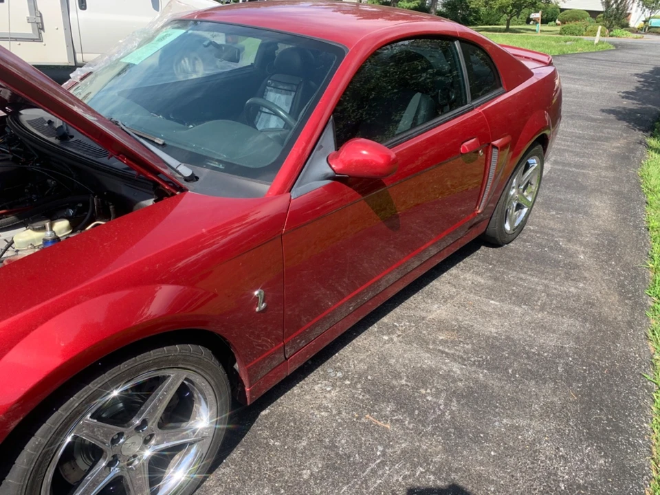 2004 Ford SN95 Mustang Cobra - Image 14 of 14