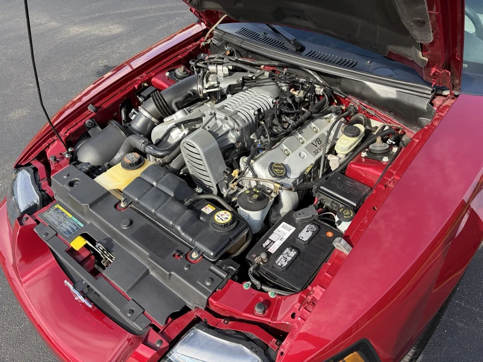 2004 Ford SN95 Mustang Cobra - Image 19 of 24