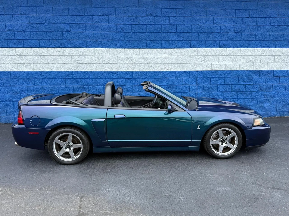 2004 Ford SN95 Mustang Cobra - Image 3 of 25