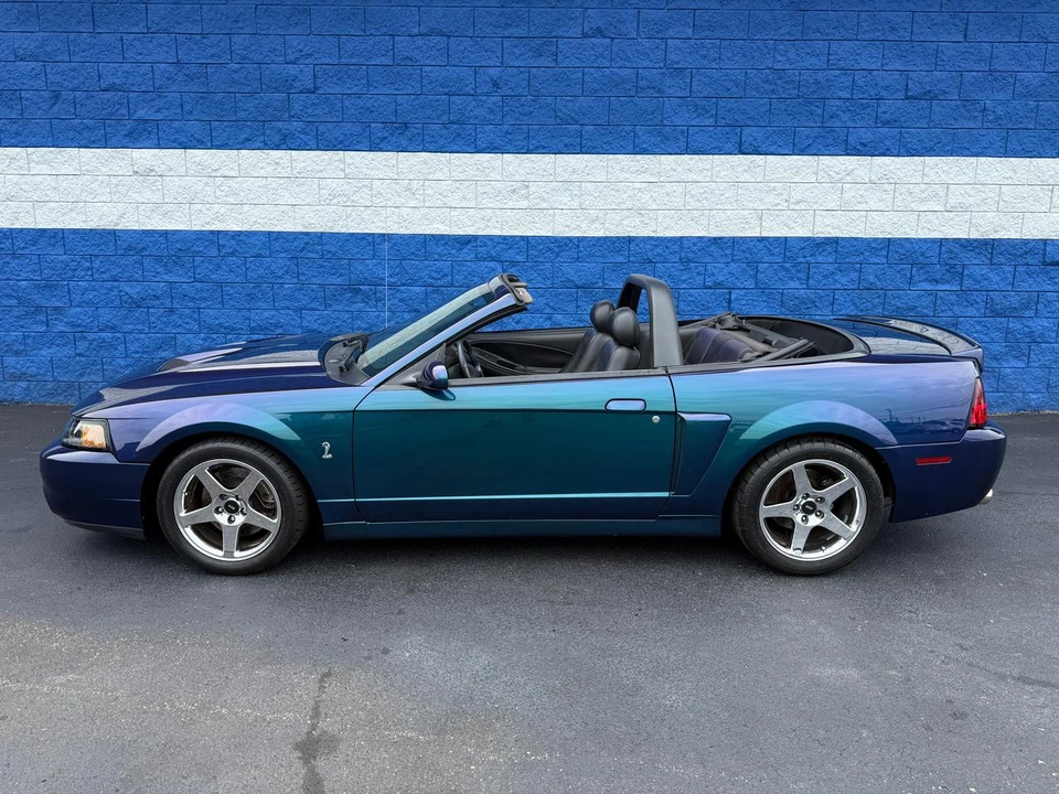 2004 Ford SN95 Mustang Cobra - Image 15 of 25