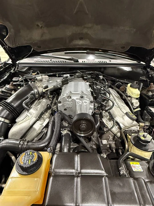 2004 Ford SN95 Mustang Cobra - Image 5 of 9