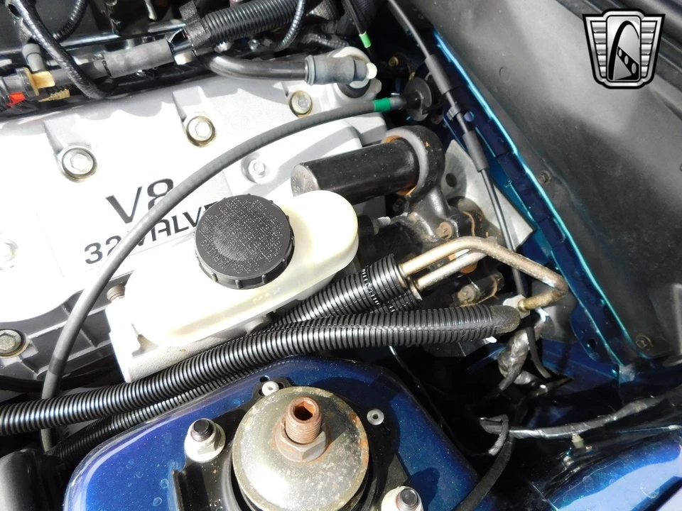 2004 Ford SN95 Mustang Cobra - Image 19 of 21