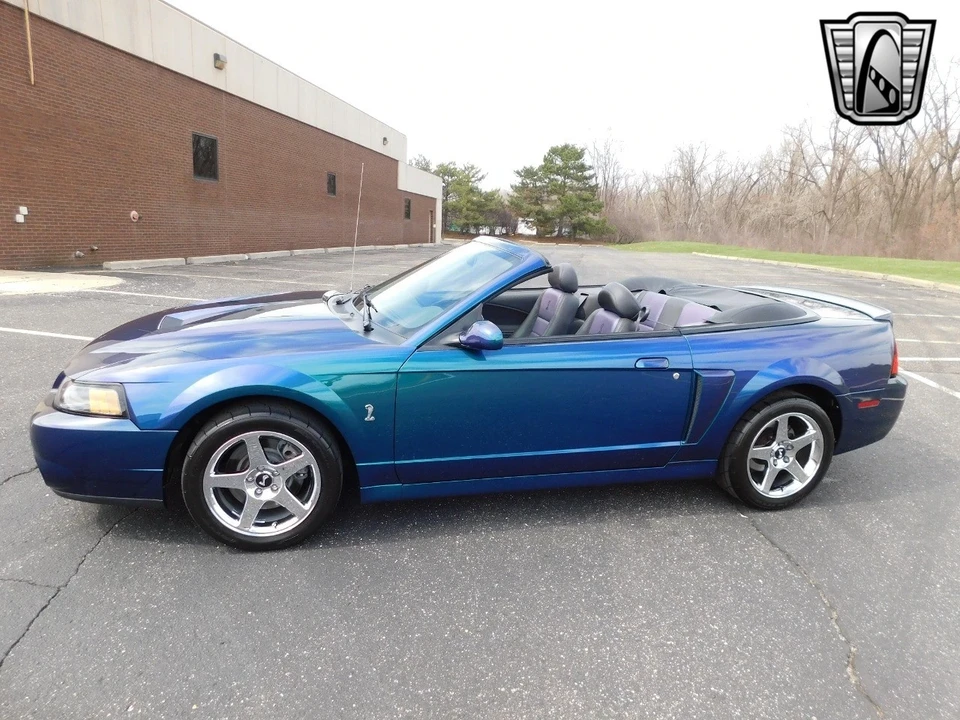 2004 Ford SN95 Mustang Cobra - Image 3 of 12